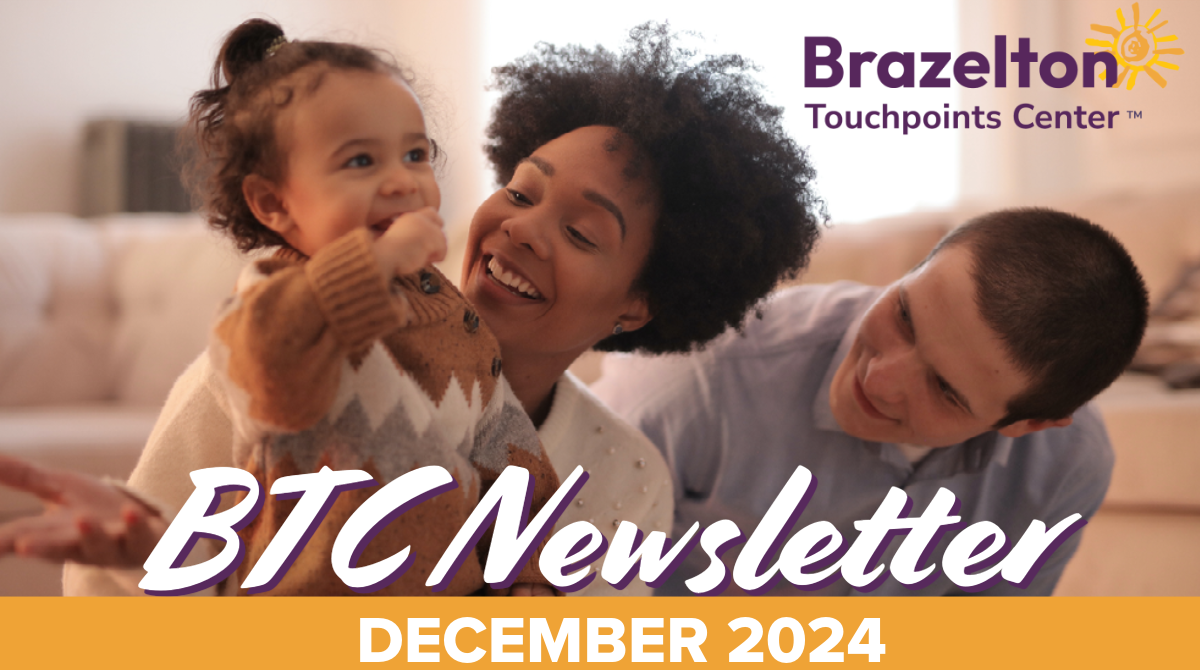 BTC Newsletter December 2024