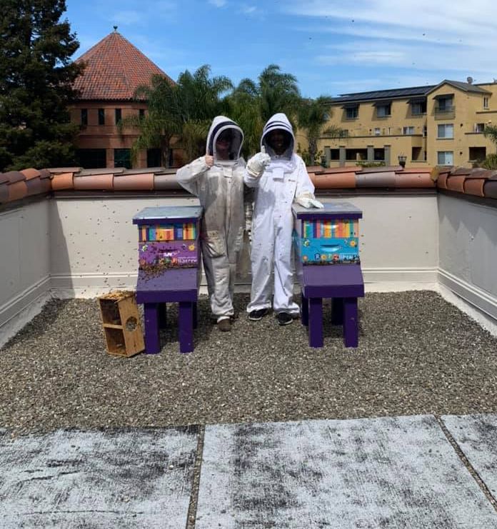 Beekeepers