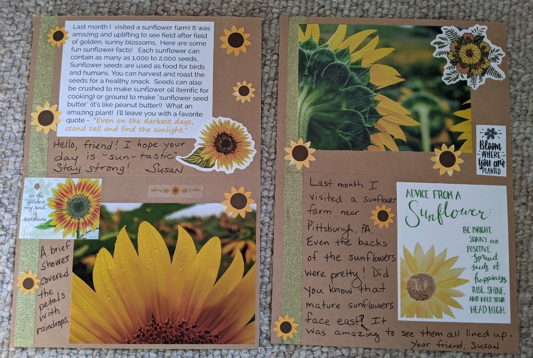 Susan Sunflower Cards.jpeg