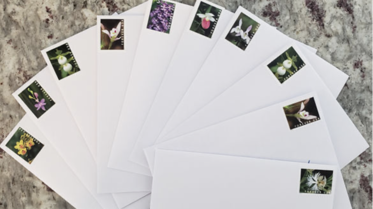 Screen Shot 2022-04-23 at 9.27.21 PM.png