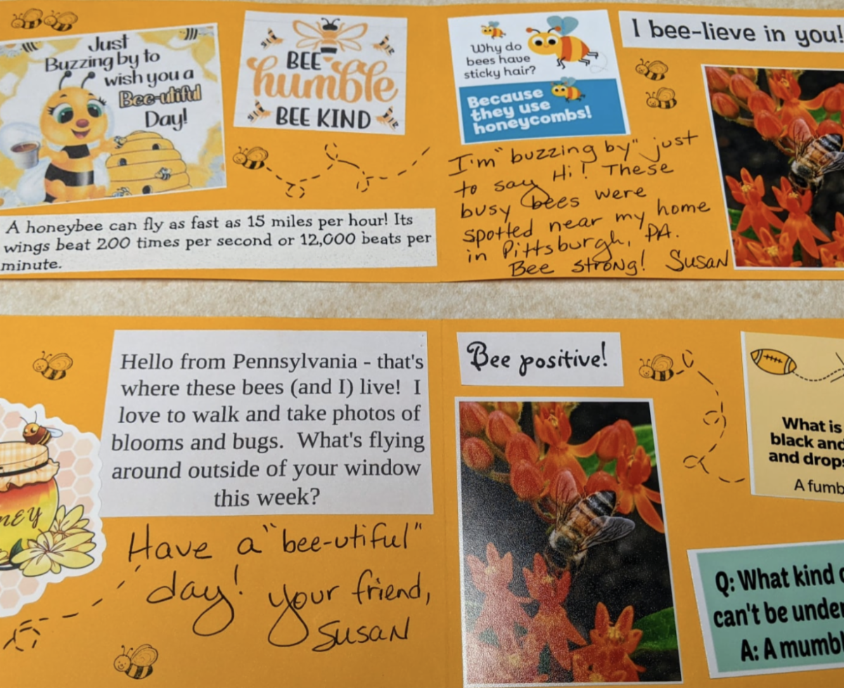 Screen Shot 2021-09-26 at 8.54.56 AM.png