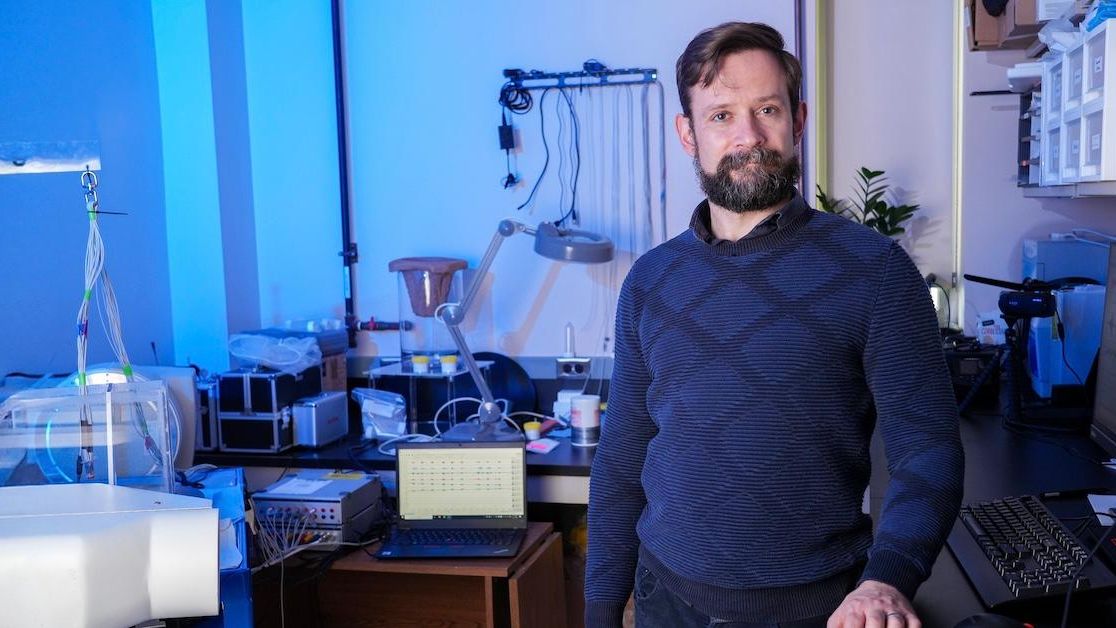 Rowan-Virtua School of Osteopathic Medicine researcher Francois Gould in his laboratory