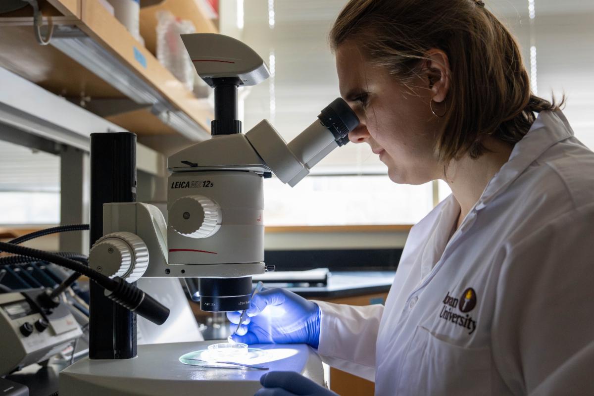 A person looking through a microscope in a laboratory.
