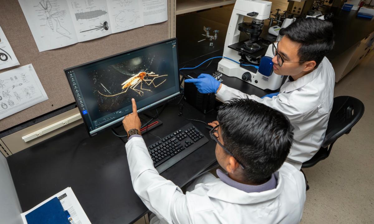 Two scientists in a lab reviewing a diagram of a mosquito specimen.
