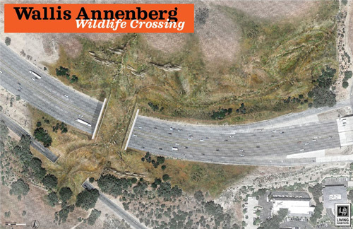 Wallis Annenberg Wildlife Crossing in Agoura Hills