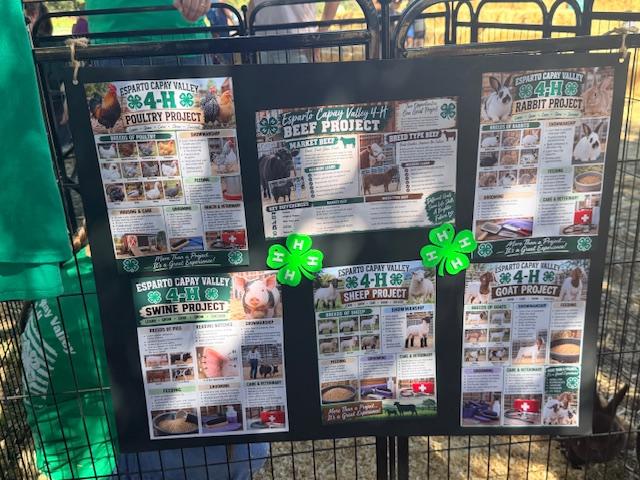 Esparto Valley 4-H display board