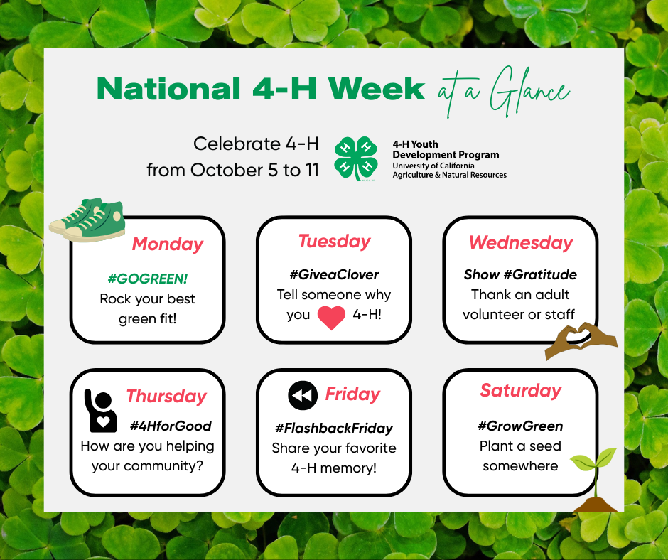 2025 National 4-H Week theme days
