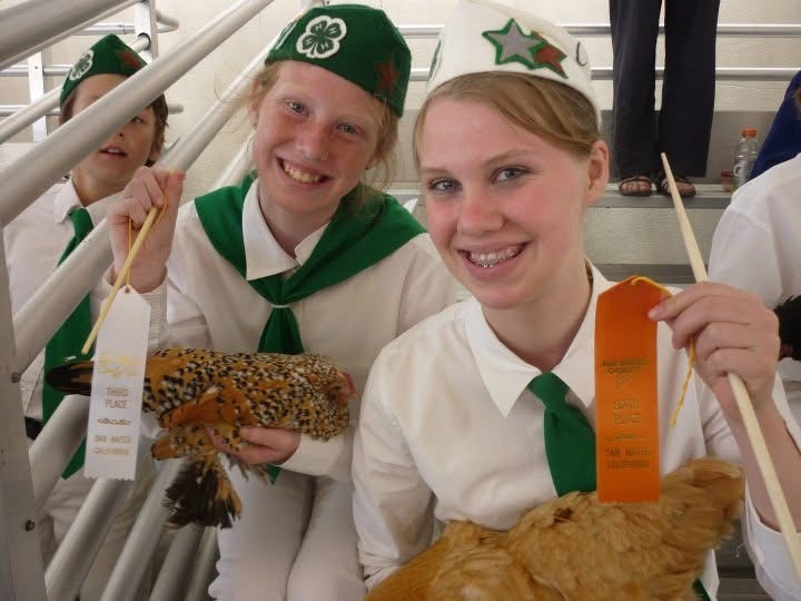 Kate Lyn and another 4-H Member holding their ribbons and chickens after a 4-H small animal show. Both are wearing white shirts, 4-H hats, scarves and ties.