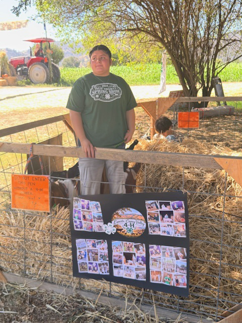 4-H Member poses in goat pen with display board outside of pen.