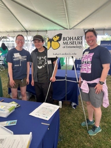 Three participants at California 4-H State Field Day standing next to a sign for UC Davis Bohart Museum of Entomology. The people are smiling and are standing in front of a table, under a canopy.