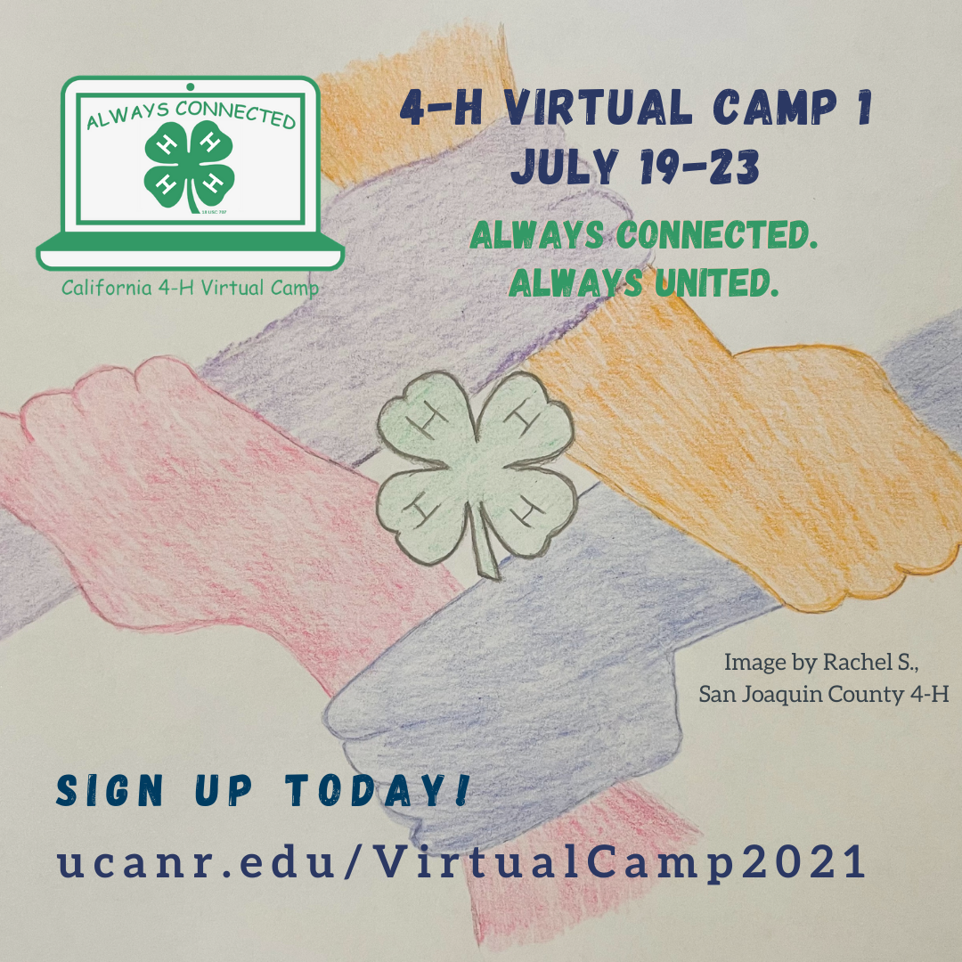Week 1 summer camp