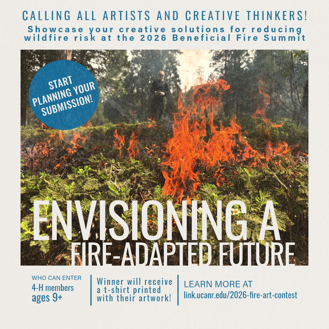 Image shows flames in a forest fire with a person walking in the background. overlaid on the image are the words envisioning a fire-adapted future. The text reads calling all artists and creative thinkers! Showcase your creative solutions for reducing wildfire risk at the 2026 Beneficial Fire Summit. Who can enter: 4-H members ages 9+. Winner will receive a t-shirt printed with their artwork. Learn more at http://link.ucanr.edu/2026-fire-art-contest