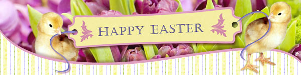easter-header-chicks.jpg