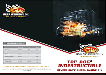 TOP DOG INDESRTUCTABLE Brochure 1