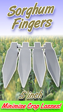 Sorghum Fingers - 5 Inch