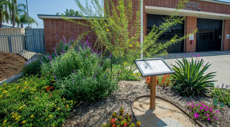 Native garden during daylight in front of a Pasadena Fire Department Station