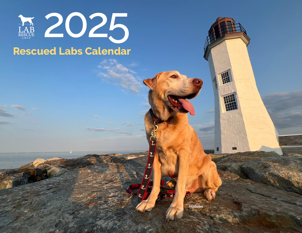 2025!//PUP OF THE MONTH, HAPPY TAILS, CALENDARS, AND OUR