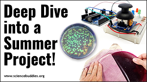 Summer Science Project Deep Dive