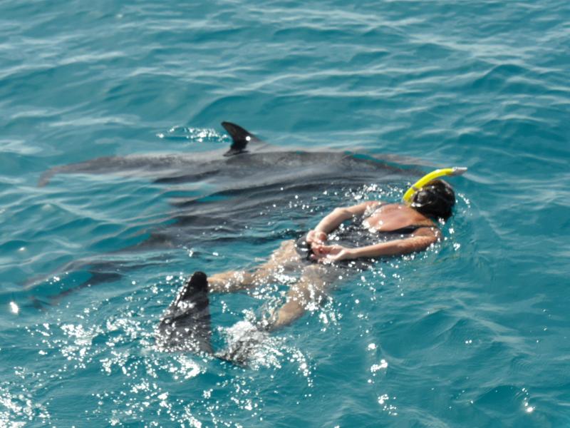 Bimini Susan with dolphin