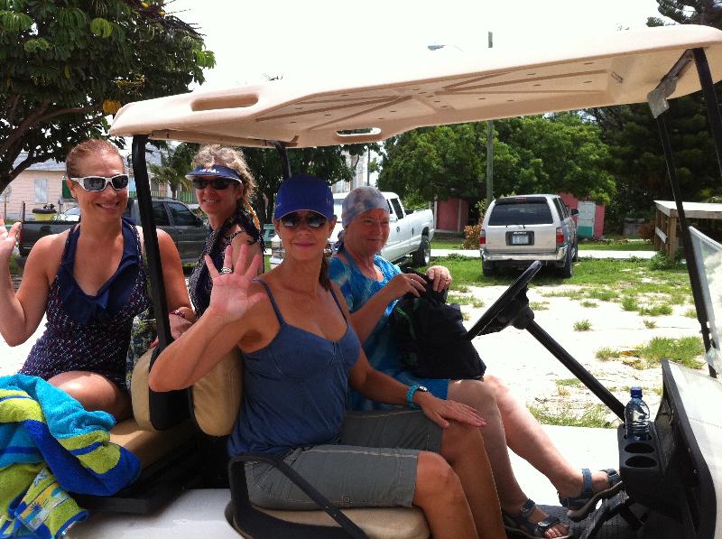 Bimini golf cart
