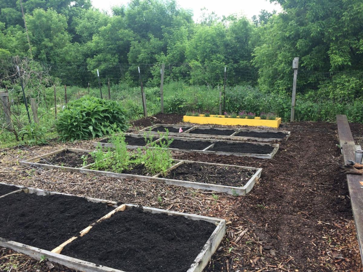 A view of the plots for the Children's Gardening Program 