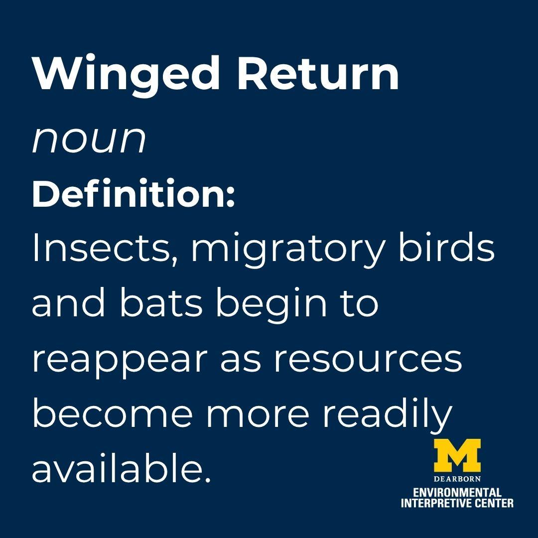 The definition of our microseason, "Winged Return."