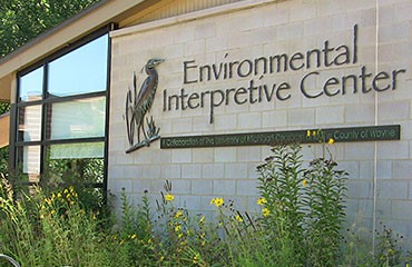 The EIC building in summer time, with tall yellow flowers  growing in front of the building.
