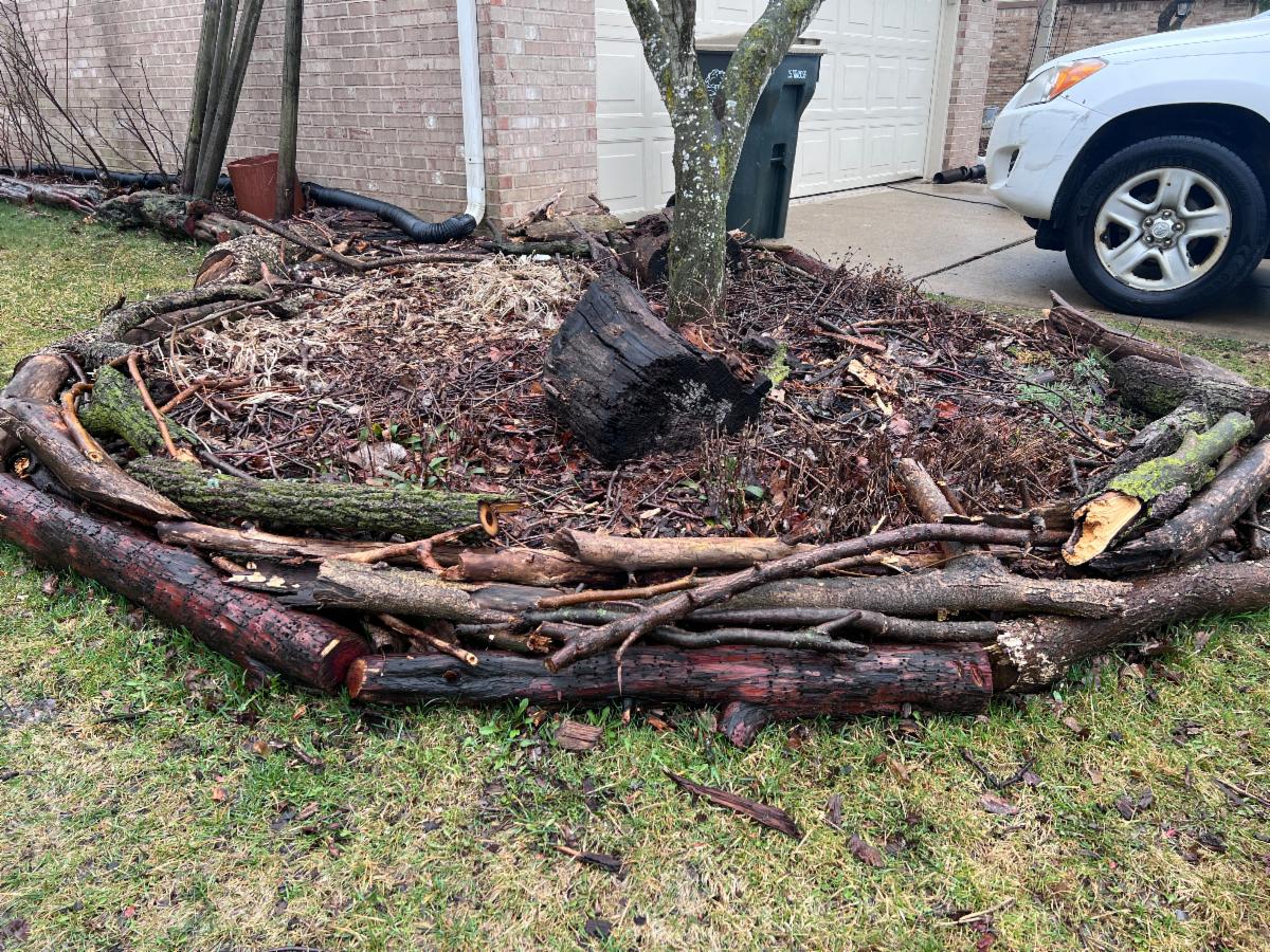 An example of "logscaping," created by the article's author in his home garden.