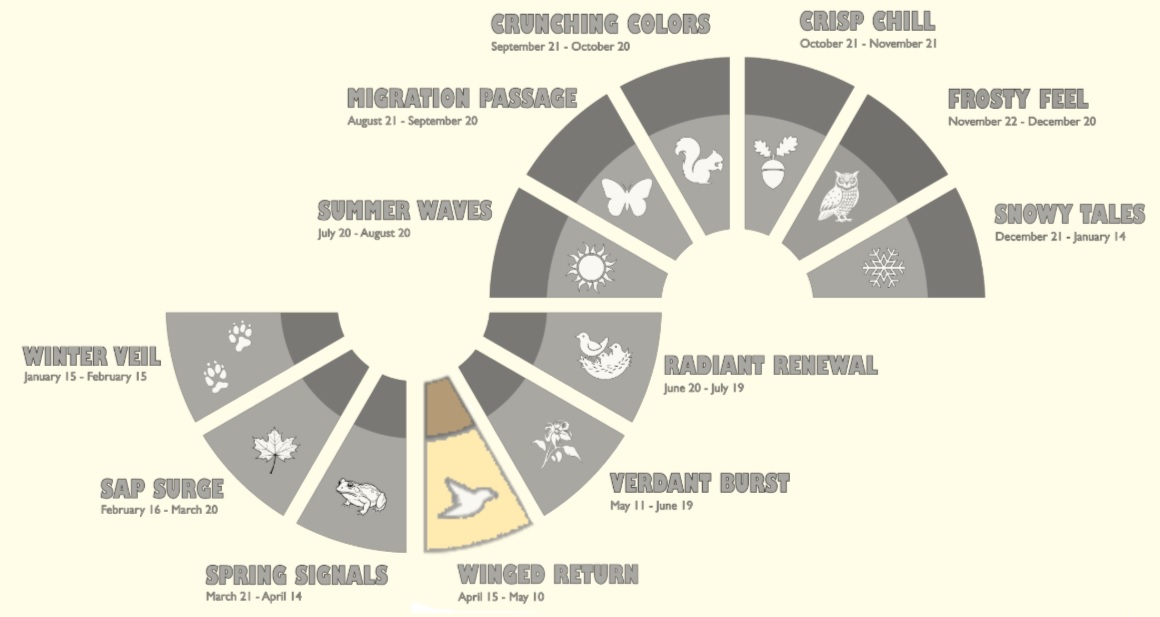 The current "seasonal calendar" is "Winged Return," shown in the swoosh design of our phenological events.