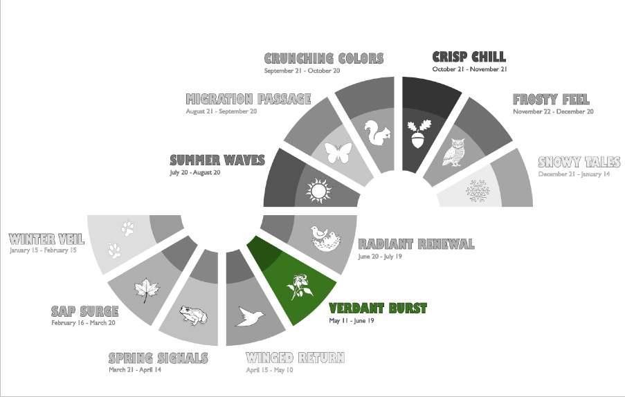 The Microseason "calendar" image, featuring the Verdant Burst section.