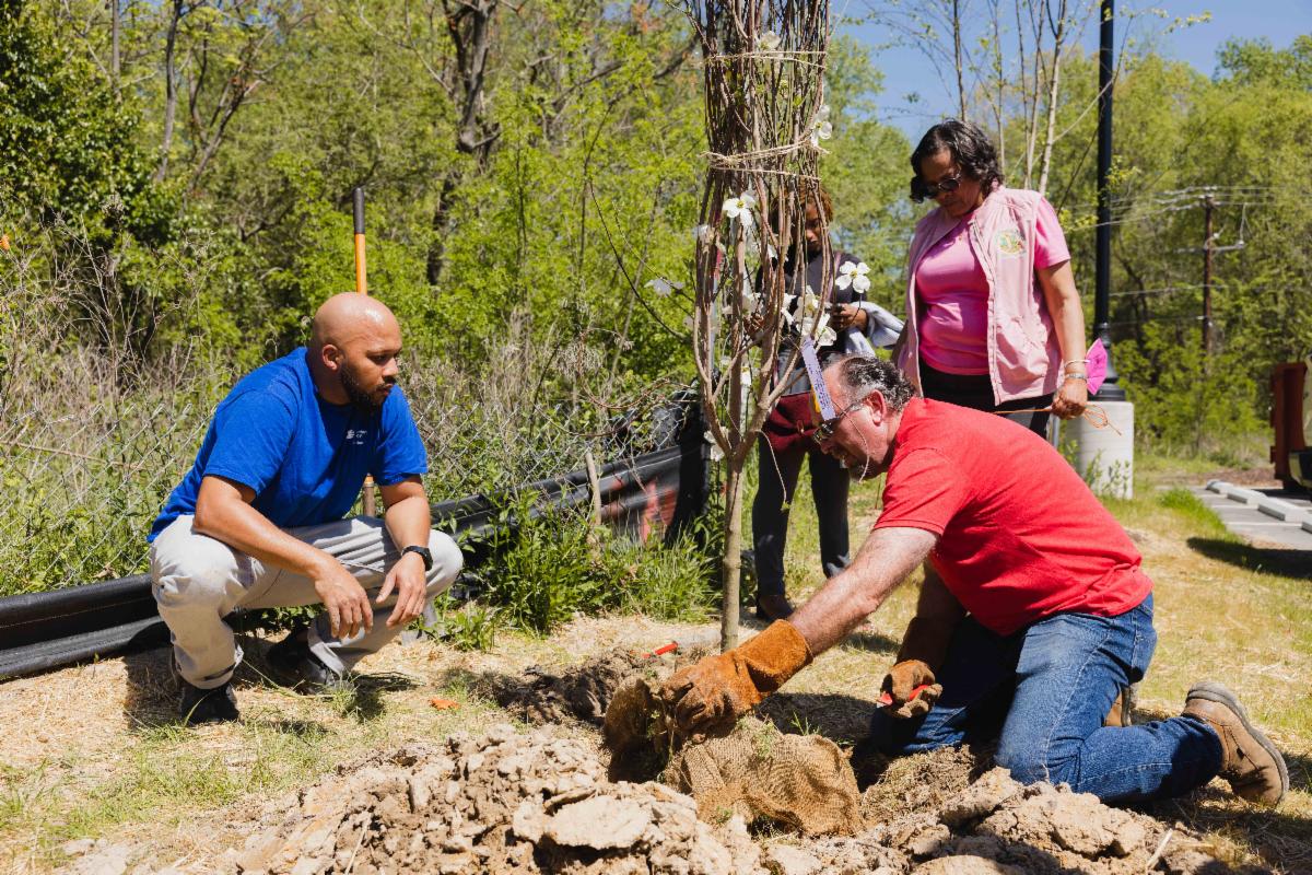 Group planting tree.