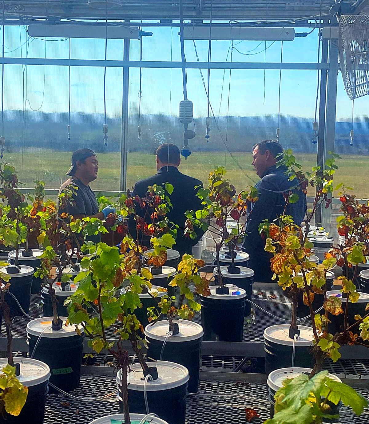 Individuals in greenhouse.