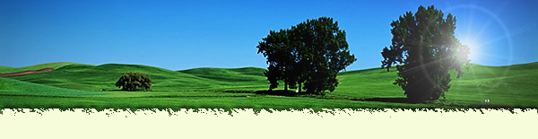 green-field-header.jpg