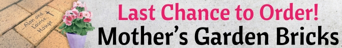 E-News Header Graphics BLACK.jpg