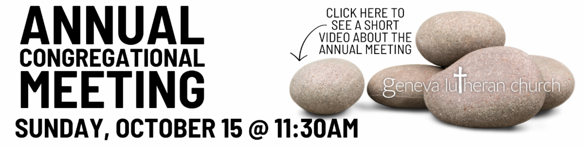 Annual Report ENEWS.png
