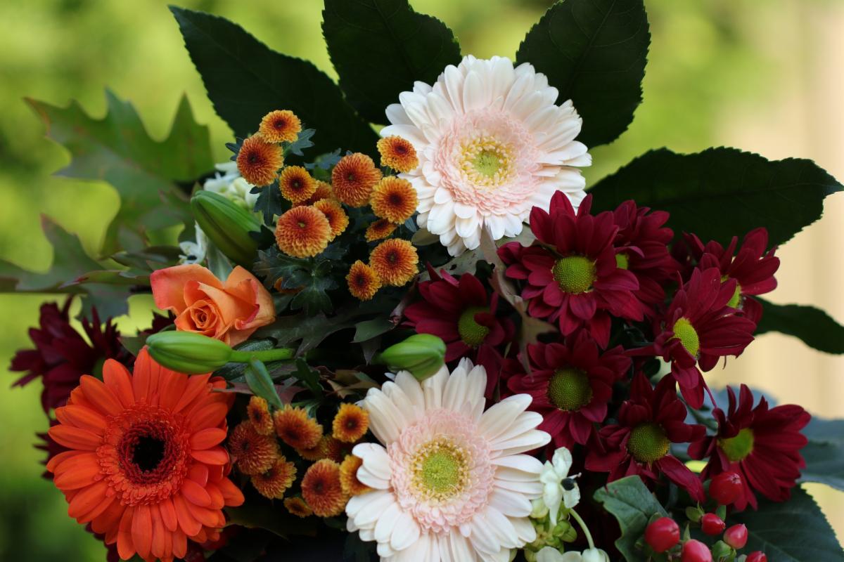 flowers-gd8c9ff364_1920.jpg