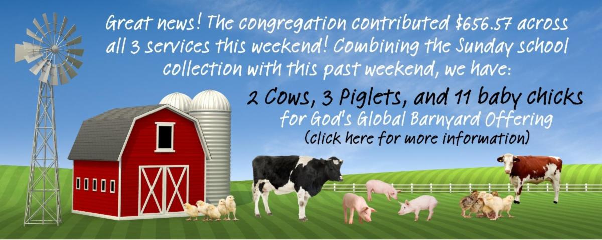 BarnYard Blessings ENEWS.jpg