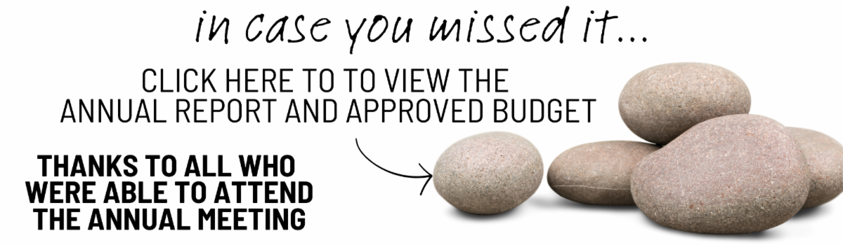 Annual Report ENEWS.png