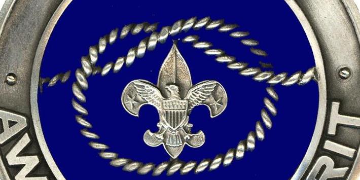 District pin
