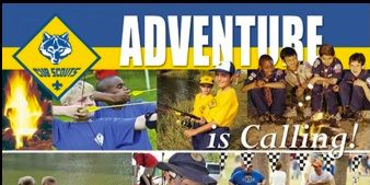 Cub Adventure Flyer