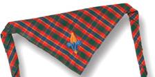 Webelos Neckerchief