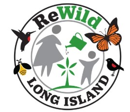 ReWild Logo