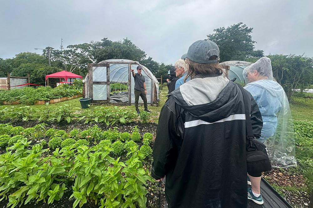 New Southampton Greenhouse