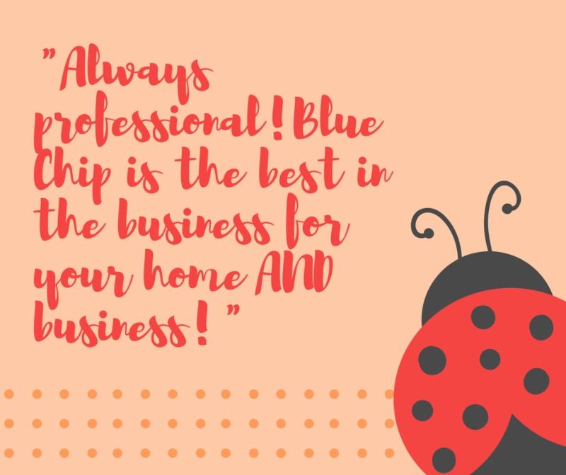 customer quote