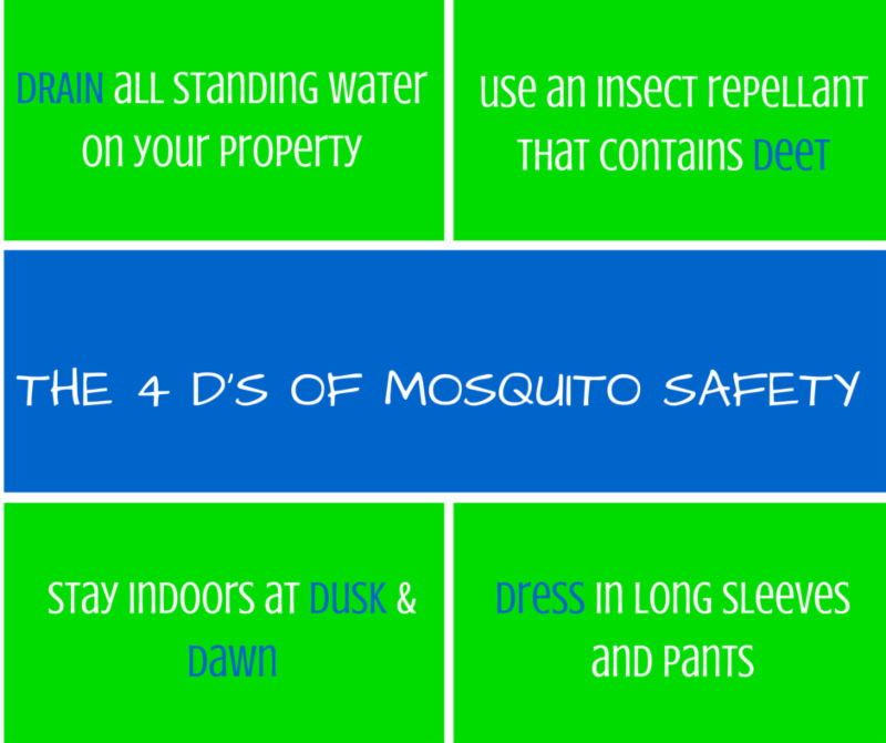 4 D_s of Mosquito Safety chart