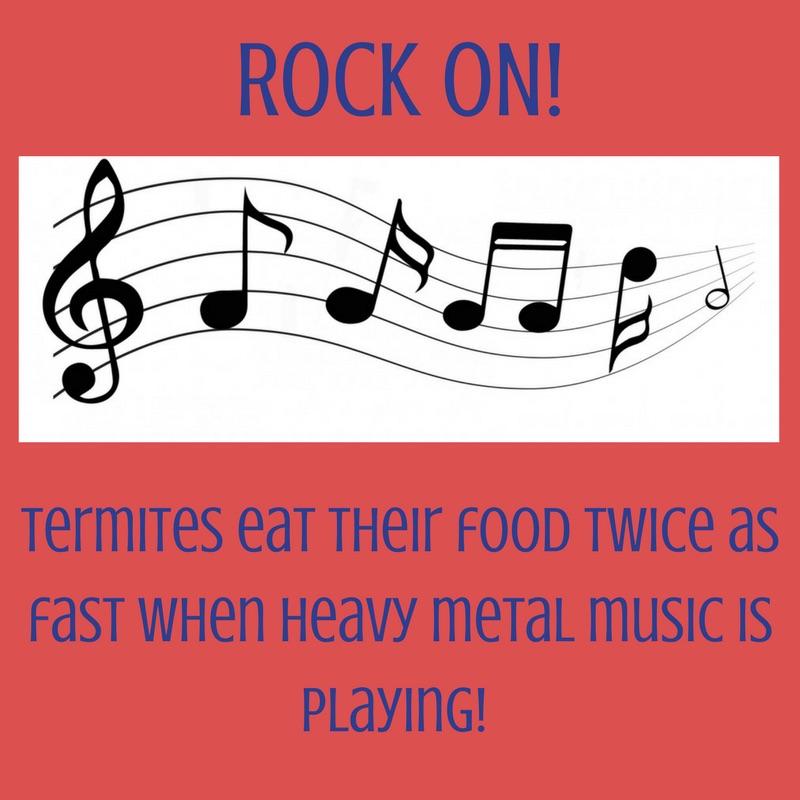 rock on