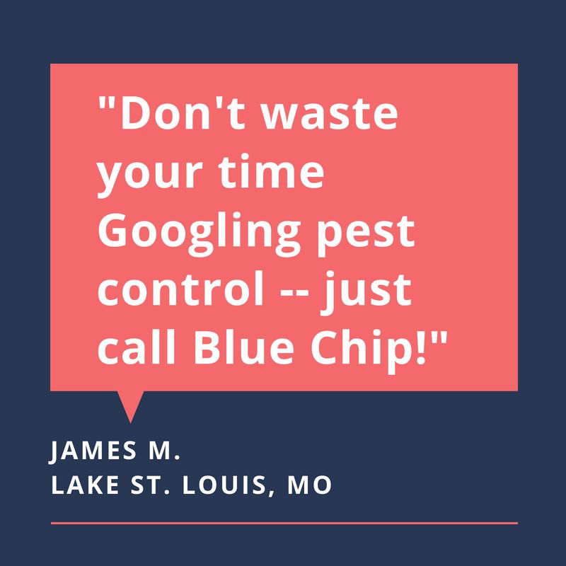 customer quote