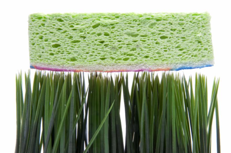 spring_cleaning_sponge.jpg