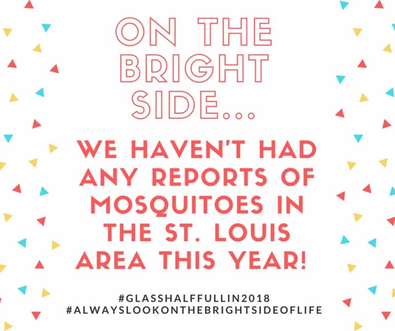 no mosquitoes 