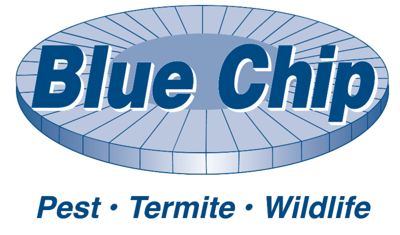 Blue Chip logo